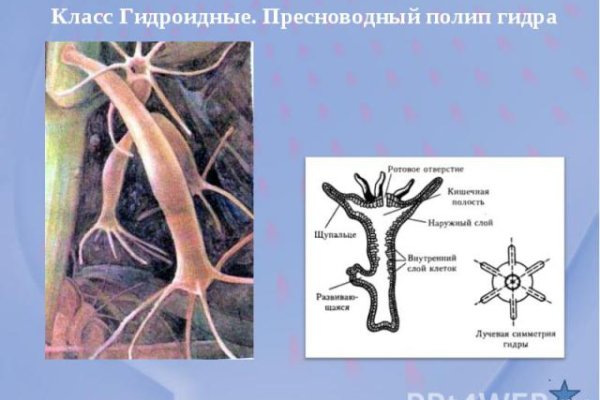 Ссылки на кракен зеркала